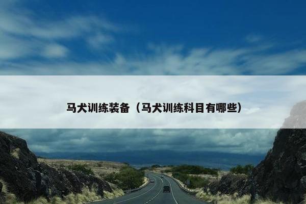 马犬训练装备（马犬训练科目有哪些）