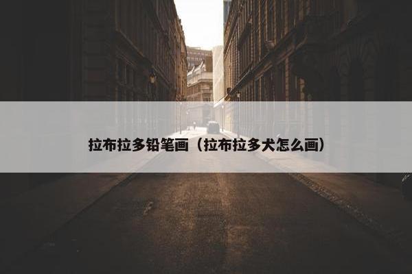 拉布拉多铅笔画（拉布拉多犬怎么画）