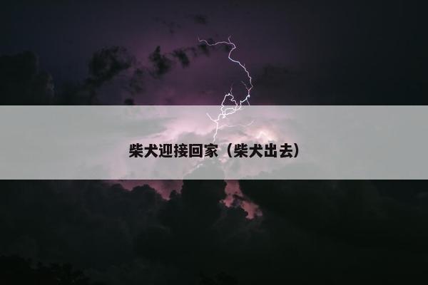 柴犬迎接回家（柴犬出去）