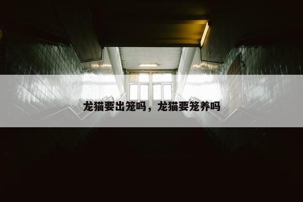 龙猫要出笼吗，龙猫要笼养吗