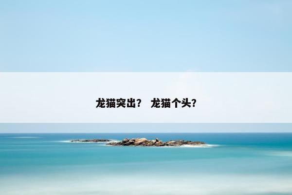 龙猫突出？ 龙猫个头？