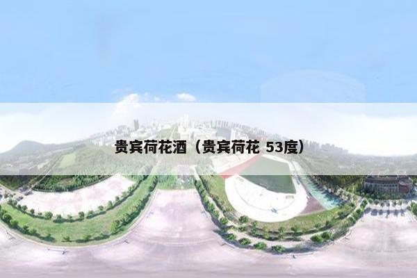 贵宾荷花酒（贵宾荷花 53度）