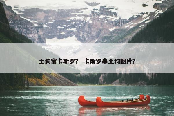 土狗窜卡斯罗？ 卡斯罗串土狗图片？