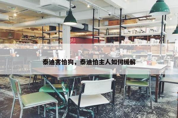 泰迪害怕狗，泰迪怕主人如何缓解