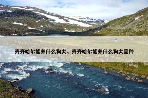 齐齐哈尔能养什么狗犬，齐齐哈尔能养什么狗犬品种