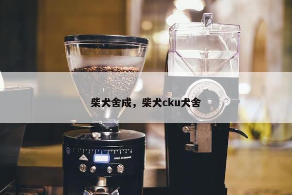 柴犬舍成，柴犬cku犬舍