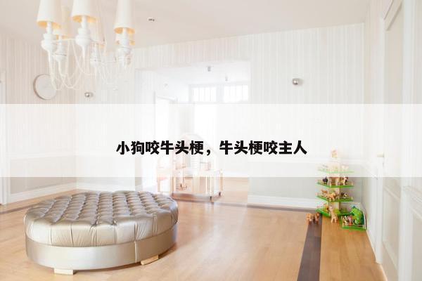 小狗咬牛头梗，牛头梗咬主人