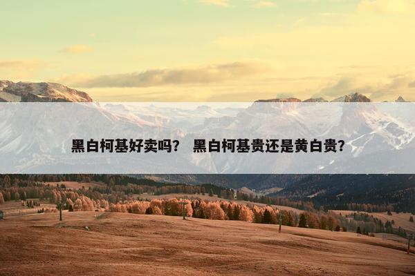 黑白柯基好卖吗？ 黑白柯基贵还是黄白贵？