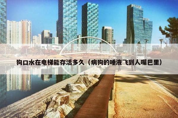 狗口水在电梯能存活多久（病狗的唾液飞到人嘴巴里）