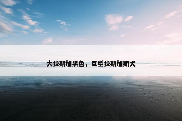 大拉斯加黑色，巨型拉斯加斯犬