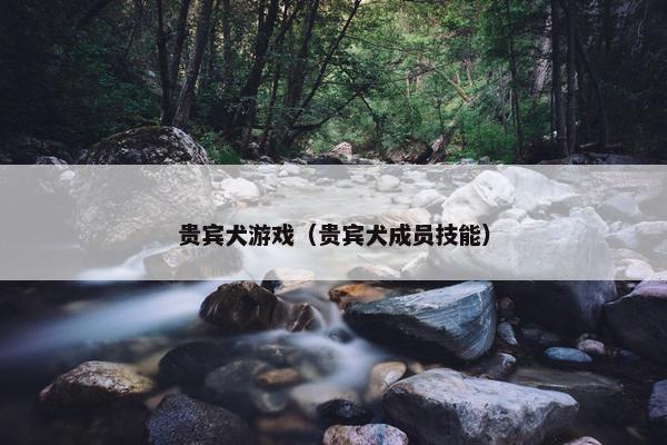 贵宾犬游戏（贵宾犬成员技能）
