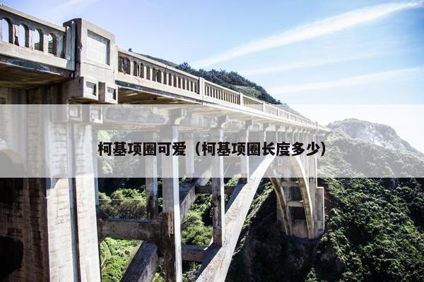 柯基项圈可爱（柯基项圈长度多少）