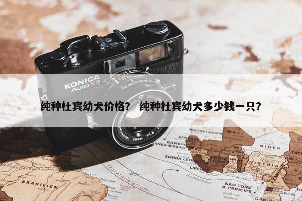 纯种杜宾幼犬价格？ 纯种杜宾幼犬多少钱一只？
