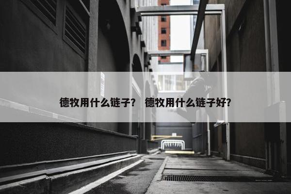 德牧用什么链子？ 德牧用什么链子好？
