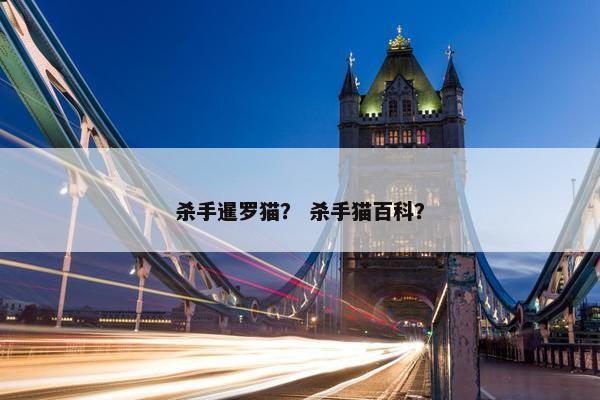 杀手暹罗猫？ 杀手猫百科？