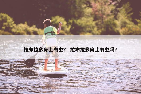 拉布拉多身上有虫？ 拉布拉多身上有虫吗？