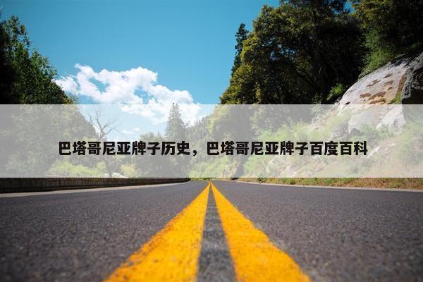 巴塔哥尼亚牌子历史，巴塔哥尼亚牌子百度百科