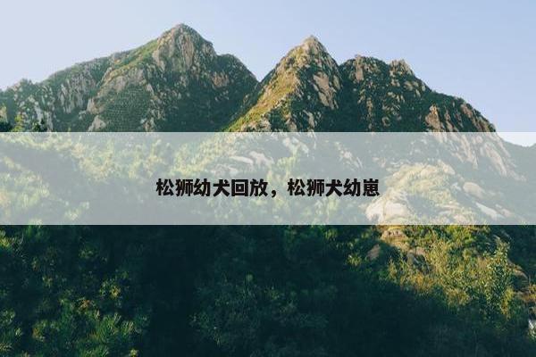 松狮幼犬回放，松狮犬幼崽