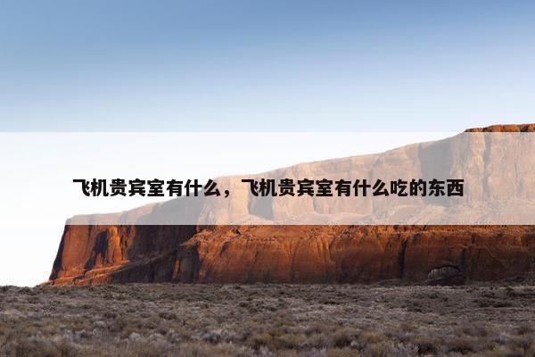 飞机贵宾室有什么，飞机贵宾室有什么吃的东西
