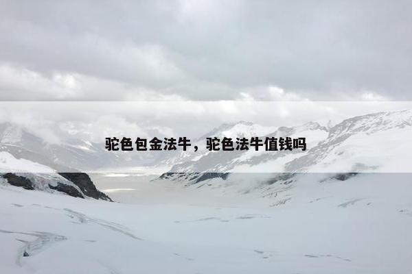 驼色包金法牛，驼色法牛值钱吗