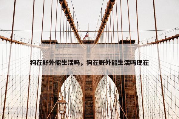 狗在野外能生活吗，狗在野外能生活吗现在
