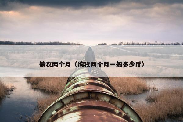 德牧两个月（德牧两个月一般多少斤）