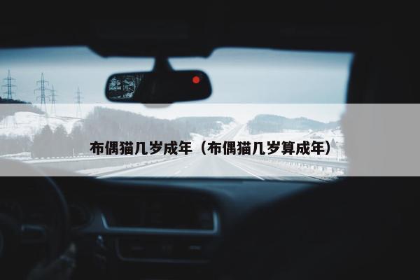 布偶猫几岁成年（布偶猫几岁算成年）