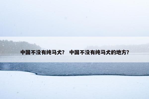 中国不没有纯马犬？ 中国不没有纯马犬的地方？