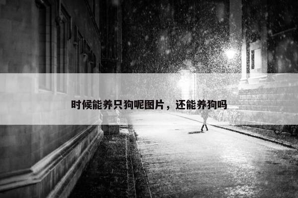 时候能养只狗呢图片，还能养狗吗