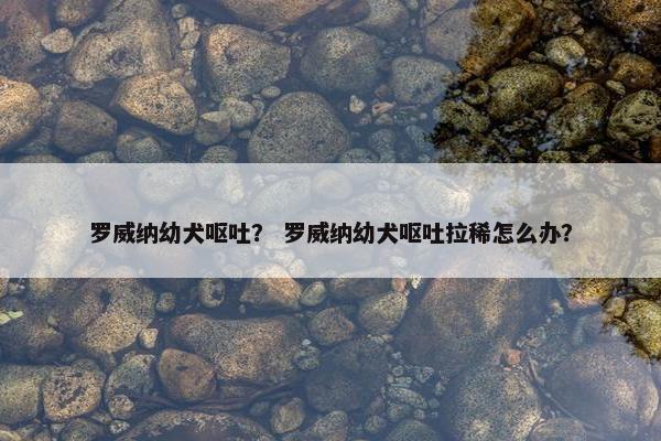 罗威纳幼犬呕吐？ 罗威纳幼犬呕吐拉稀怎么办？