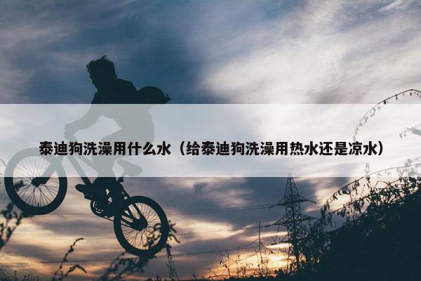 泰迪狗洗澡用什么水（给泰迪狗洗澡用热水还是凉水）