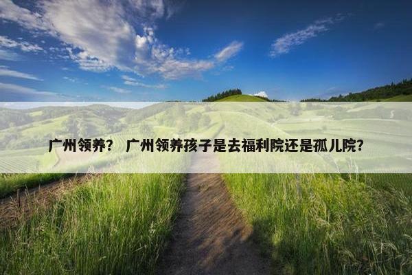 广州领养？ 广州领养孩子是去福利院还是孤儿院？