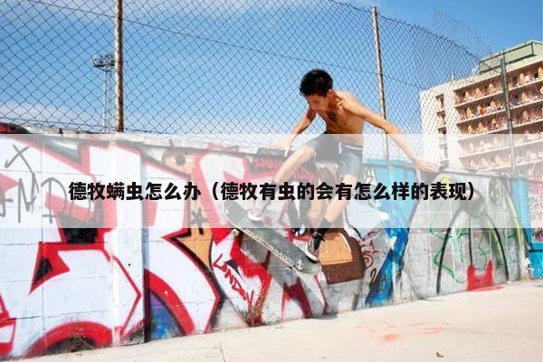 德牧螨虫怎么办（德牧有虫的会有怎么样的表现）