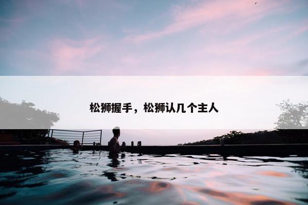 松狮握手，松狮认几个主人
