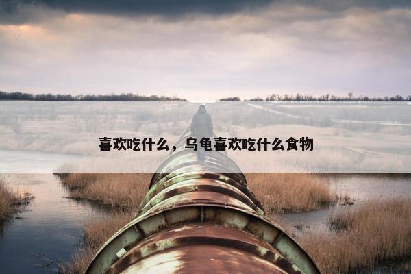 喜欢吃什么，乌龟喜欢吃什么食物