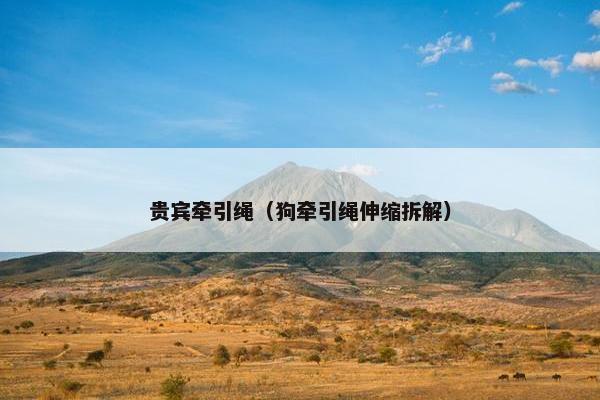 贵宾牵引绳（狗牵引绳伸缩拆解）