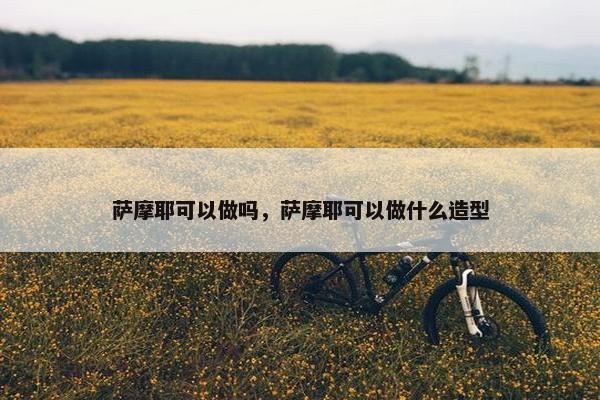 萨摩耶可以做吗，萨摩耶可以做什么造型