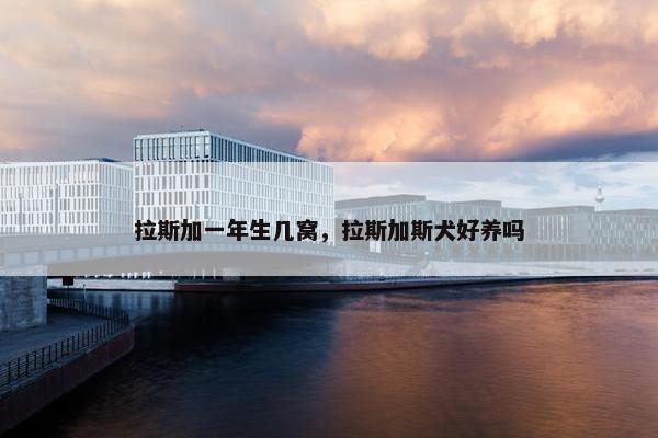 拉斯加一年生几窝，拉斯加斯犬好养吗