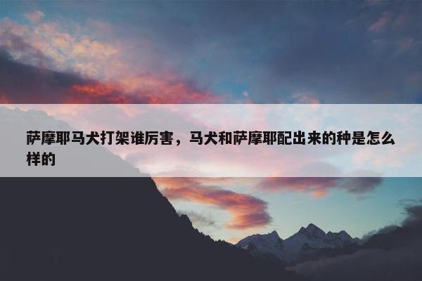 萨摩耶马犬打架谁厉害，马犬和萨摩耶配出来的种是怎么样的