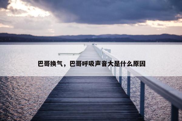 巴哥换气，巴哥呼吸声音大是什么原因