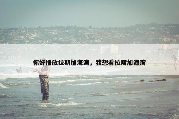 你好播放拉斯加海湾，我想看拉斯加海湾