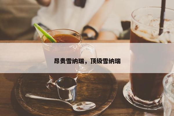 昂贵雪纳瑞，顶级雪纳瑞