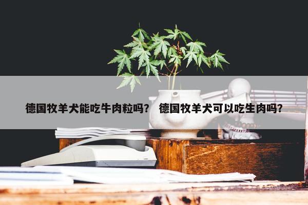 德国牧羊犬能吃牛肉粒吗？ 德国牧羊犬可以吃生肉吗？