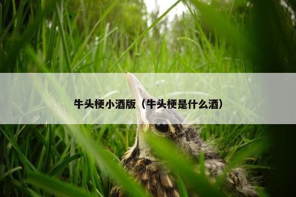牛头梗小酒版（牛头梗是什么酒）