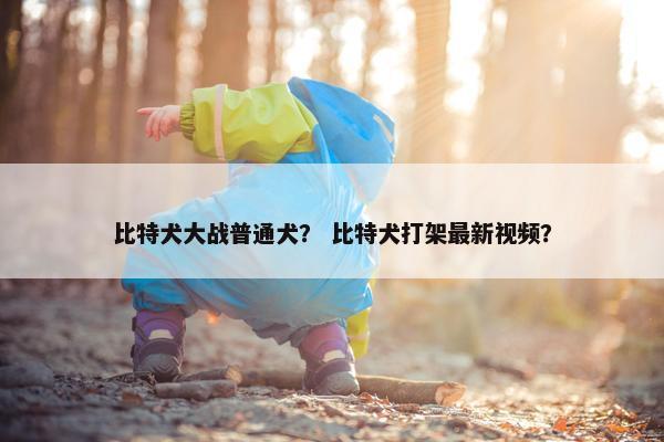 比特犬大战普通犬？ 比特犬打架最新视频？