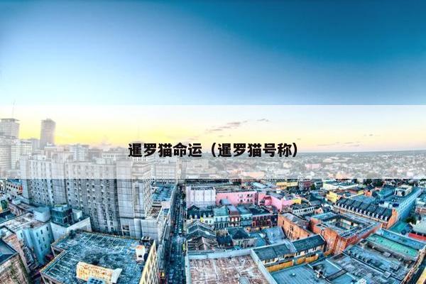 暹罗猫命运（暹罗猫号称）