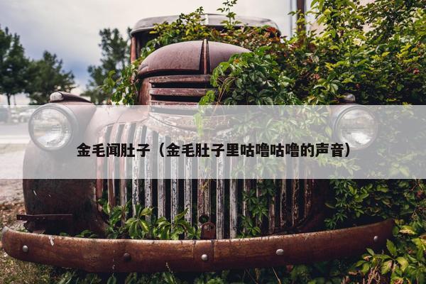 金毛闻肚子（金毛肚子里咕噜咕噜的声音）