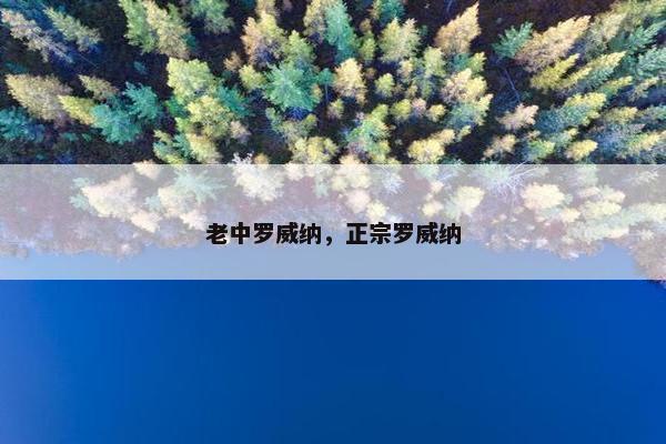 老中罗威纳，正宗罗威纳