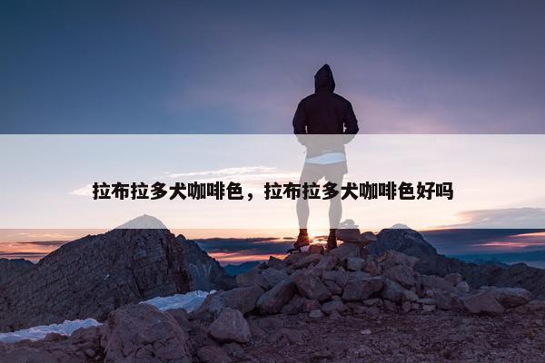 拉布拉多犬咖啡色，拉布拉多犬咖啡色好吗