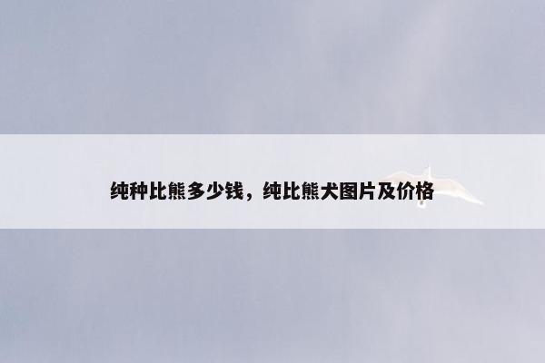 纯种比熊多少钱，纯比熊犬图片及价格